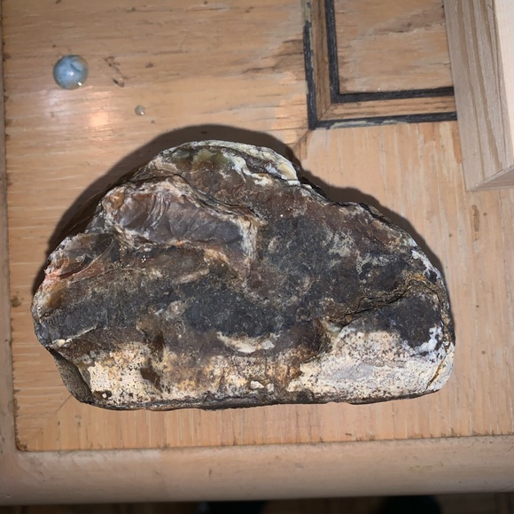 Agate petrified wood 300+ grams - Picture 3 of 7